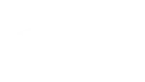 Real Estate Academy Logo White
